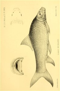 n416_w1150