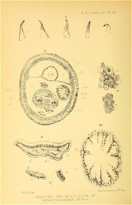 n67_w1150