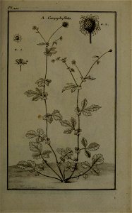 n270_w1150