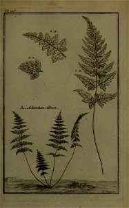 n120_w1150