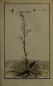 n238_w1150