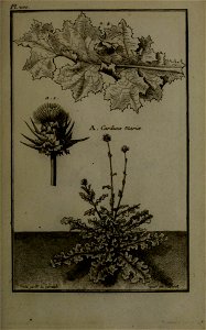 n268_w1150