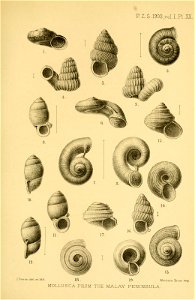 n258_w1150