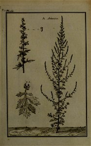 n176_w1150