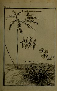 n116_w1150