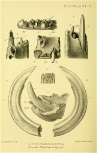n153_w1150