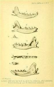 n167_w1150