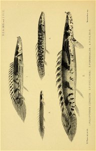 n167_w1150