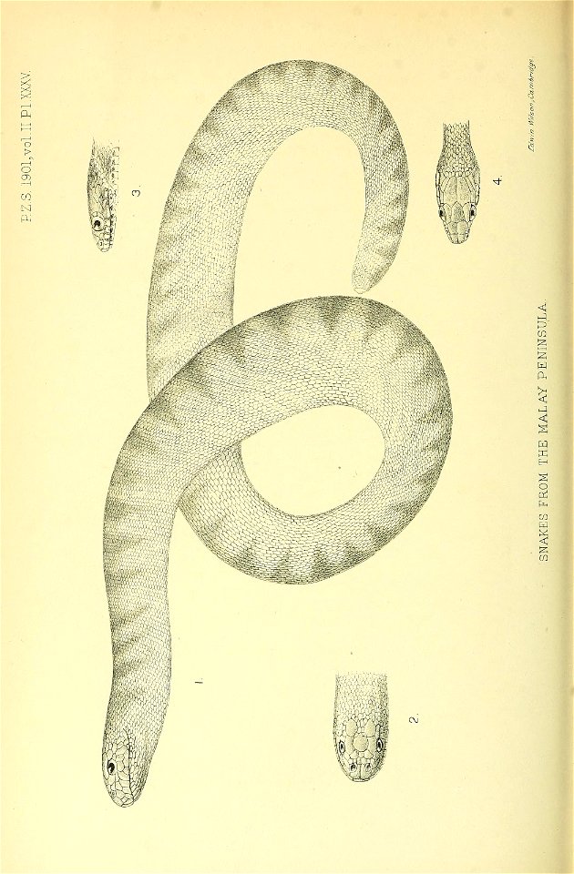 n699_w1150