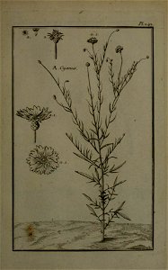 n352_w1150