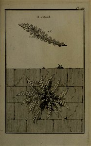 n292_w1150