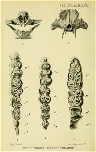 n251_w1150