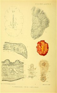 n143_w1150