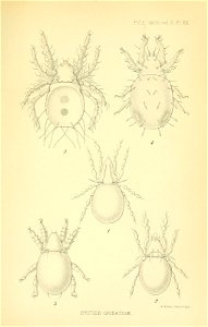 n654_w1150