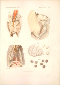 n426_w1150