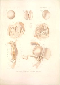 n366_w1150