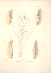 n202_w1150