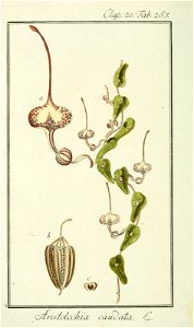n161_w1150