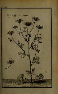 n158_w1150