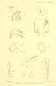 n354_w1150