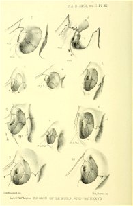n175_w1150