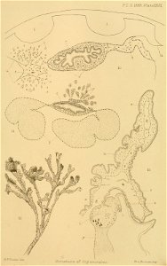 n404_w1150