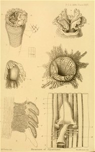 n402_w1150