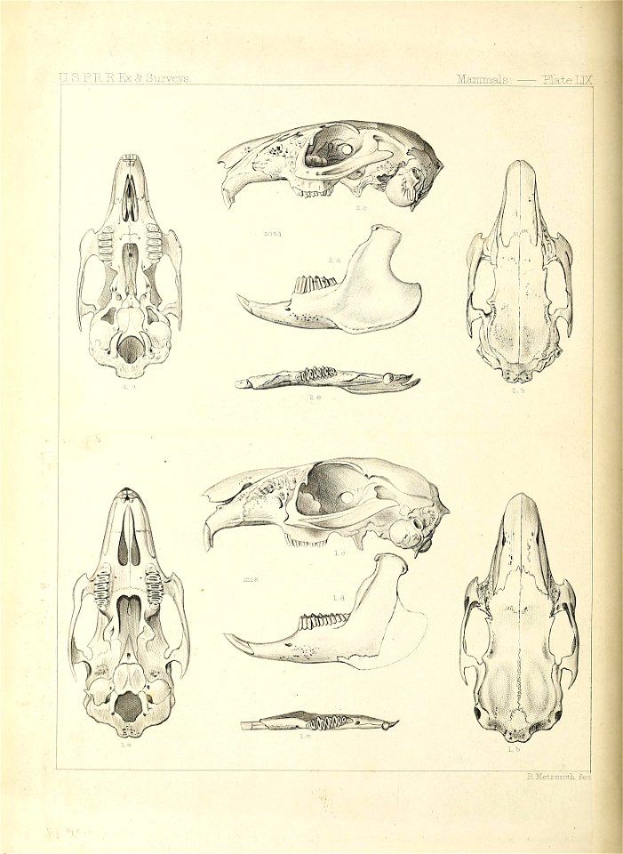 n365_w1150