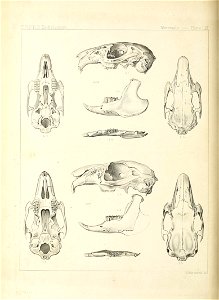 n365_w1150