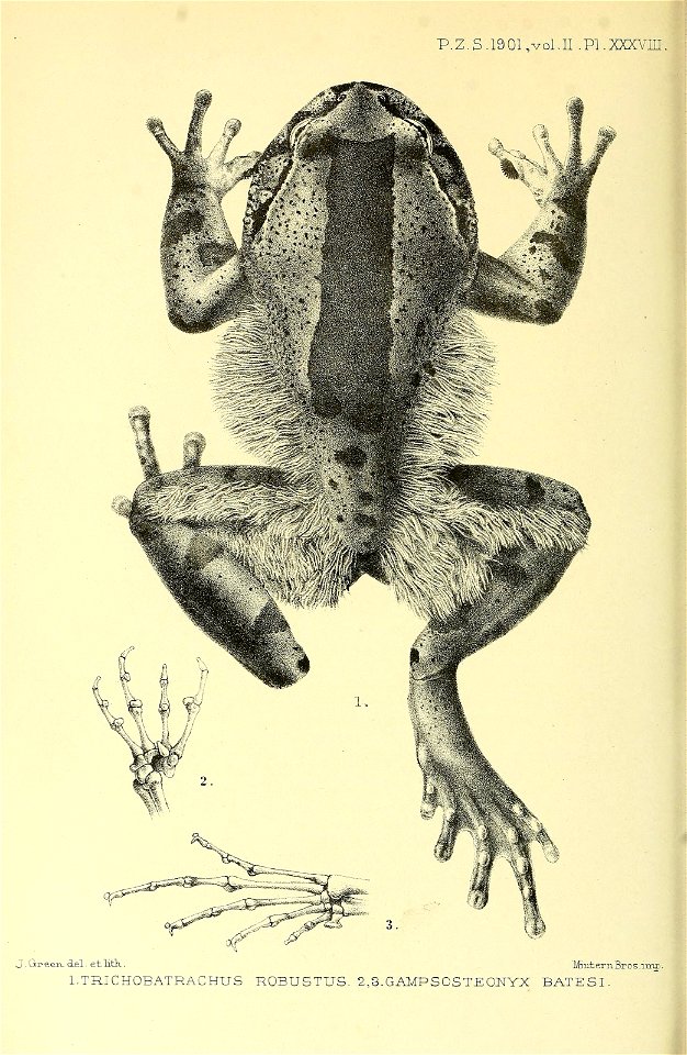 n839_w1150