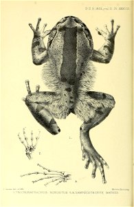 n839_w1150