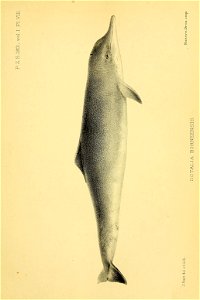 n128_w1150
