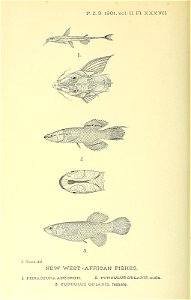 n751_w1150