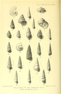 n421_w1150