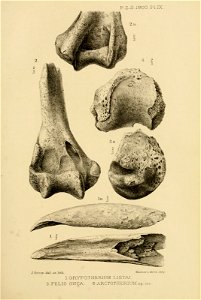 n112_w1150