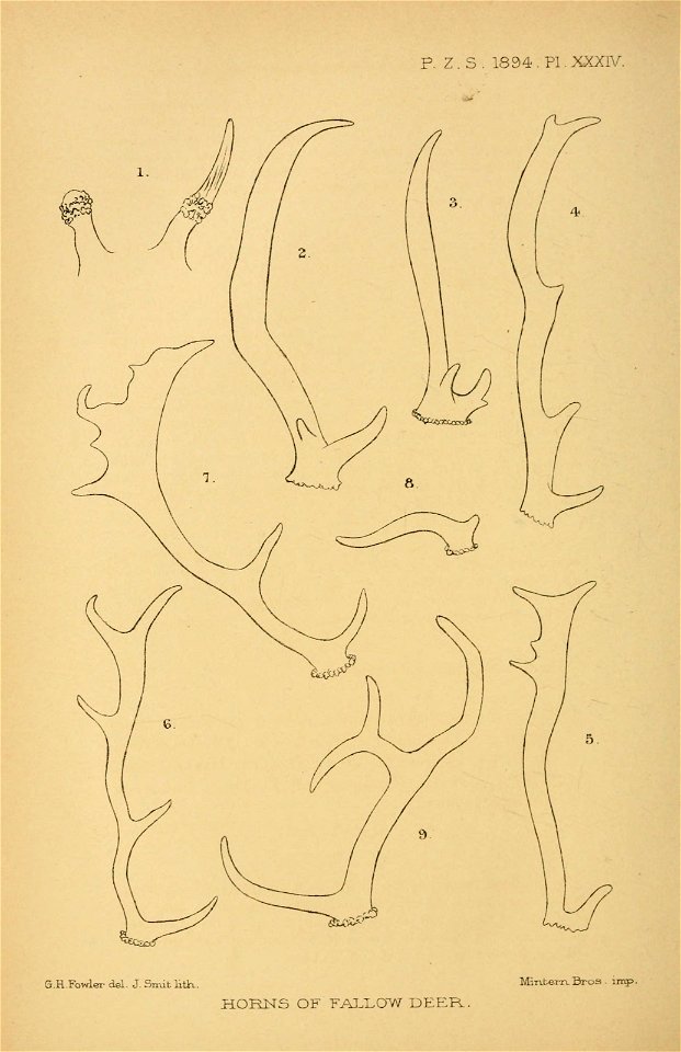 n577_w1150