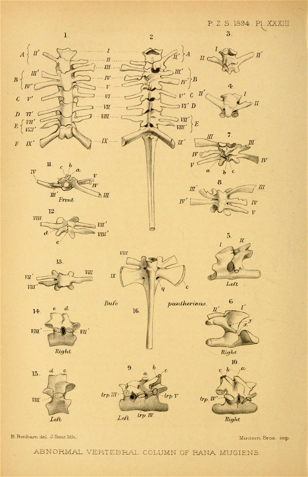 n567_w1150
