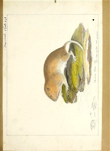 n114_w1150