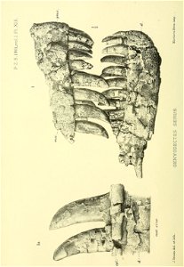n231_w1150