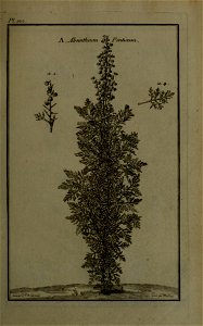 n110_w1150