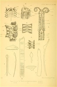 n225_w1150