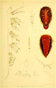 n102_w1150