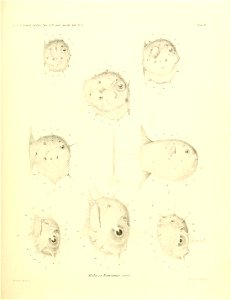 n122_w1150