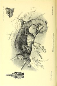 n209_w1150