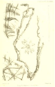 n948_w1150