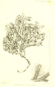 n946_w1150