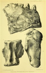 n652_w1150