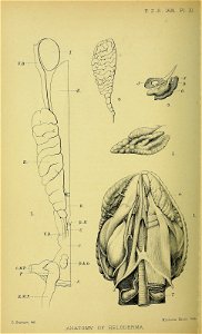 n171_w1150