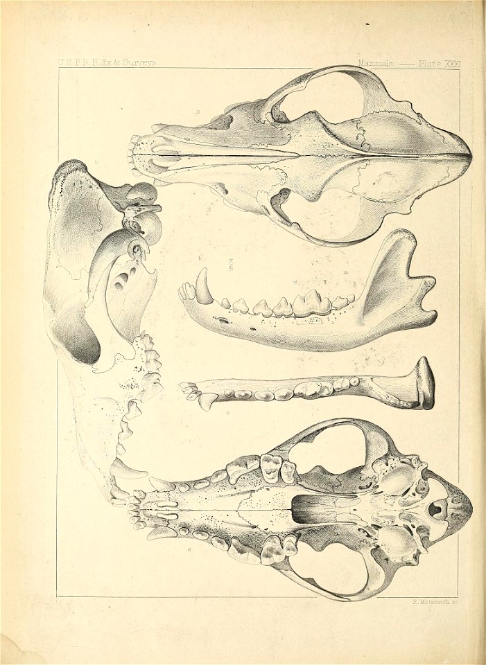 n207_w1150