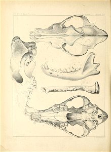 n207_w1150